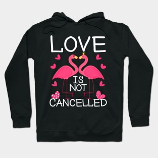 Love Is Not Cancelled Happy Valentines Day 2021 Flamingos Lovers Hoodie